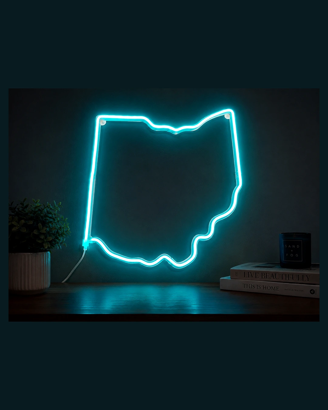 Illuminated Ohio wall art.